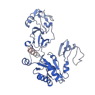 23665_7m4r_A_v1-1
Structural basis for SARS-CoV-2 envelope protein in recognition of human cell junction protein PALS1