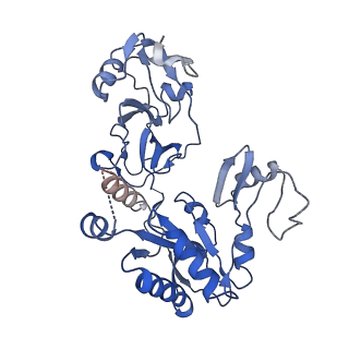 23665_7m4r_A_v1-2
Structural basis for SARS-CoV-2 envelope protein in recognition of human cell junction protein PALS1