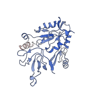 23665_7m4r_B_v1-1
Structural basis for SARS-CoV-2 envelope protein in recognition of human cell junction protein PALS1