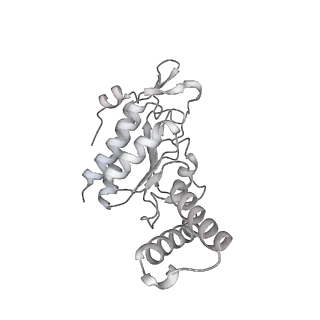 23666_7m4u_b_v1-2
A. baumannii Ribosome-Eravacycline complex: 30S