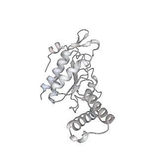 23666_7m4u_b_v1-3
A. baumannii Ribosome-Eravacycline complex: 30S