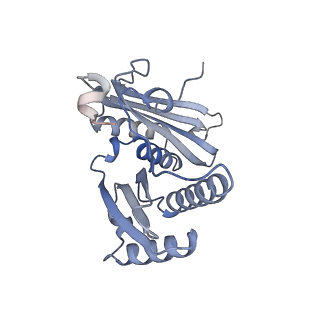 23666_7m4u_c_v1-2
A. baumannii Ribosome-Eravacycline complex: 30S