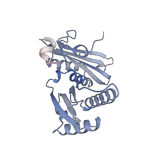 23666_7m4u_c_v1-3
A. baumannii Ribosome-Eravacycline complex: 30S