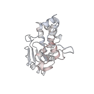 23666_7m4u_d_v1-2
A. baumannii Ribosome-Eravacycline complex: 30S