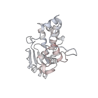 23666_7m4u_d_v1-3
A. baumannii Ribosome-Eravacycline complex: 30S