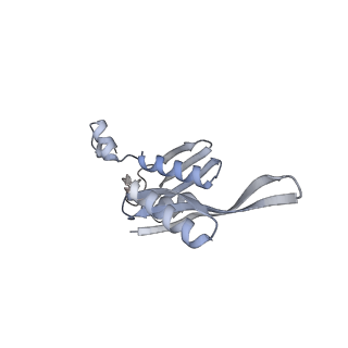 23666_7m4u_e_v1-2
A. baumannii Ribosome-Eravacycline complex: 30S