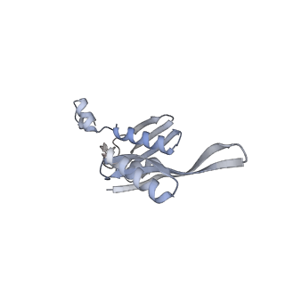 23666_7m4u_e_v1-3
A. baumannii Ribosome-Eravacycline complex: 30S