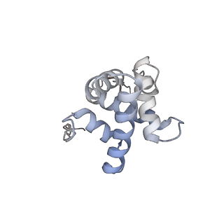 23666_7m4u_g_v1-2
A. baumannii Ribosome-Eravacycline complex: 30S