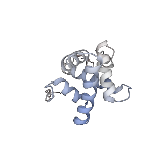 23666_7m4u_g_v1-3
A. baumannii Ribosome-Eravacycline complex: 30S