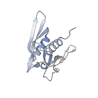 23666_7m4u_h_v1-2
A. baumannii Ribosome-Eravacycline complex: 30S