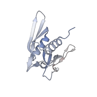 23666_7m4u_h_v1-3
A. baumannii Ribosome-Eravacycline complex: 30S