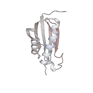 23666_7m4u_k_v1-2
A. baumannii Ribosome-Eravacycline complex: 30S