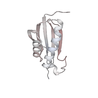 23666_7m4u_k_v1-3
A. baumannii Ribosome-Eravacycline complex: 30S