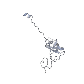 23666_7m4u_l_v1-2
A. baumannii Ribosome-Eravacycline complex: 30S