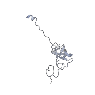 23666_7m4u_l_v1-3
A. baumannii Ribosome-Eravacycline complex: 30S