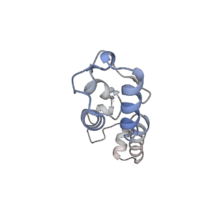 23666_7m4u_m_v1-3
A. baumannii Ribosome-Eravacycline complex: 30S