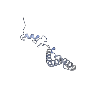 23666_7m4u_n_v1-2
A. baumannii Ribosome-Eravacycline complex: 30S