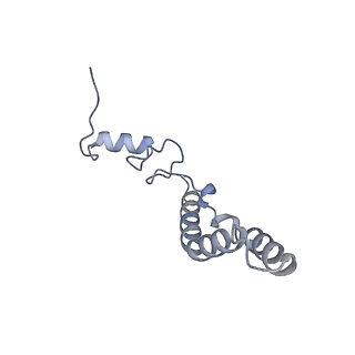 23666_7m4u_n_v1-3
A. baumannii Ribosome-Eravacycline complex: 30S