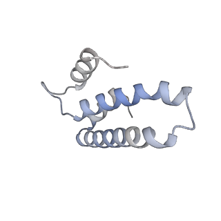 23666_7m4u_o_v1-3
A. baumannii Ribosome-Eravacycline complex: 30S