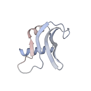 23666_7m4u_p_v1-2
A. baumannii Ribosome-Eravacycline complex: 30S