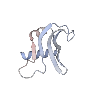 23666_7m4u_p_v1-3
A. baumannii Ribosome-Eravacycline complex: 30S