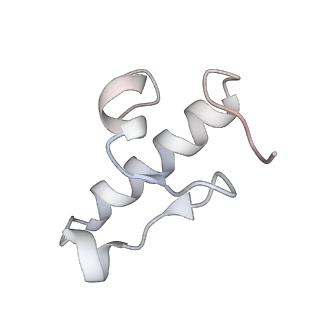 23666_7m4u_r_v1-3
A. baumannii Ribosome-Eravacycline complex: 30S