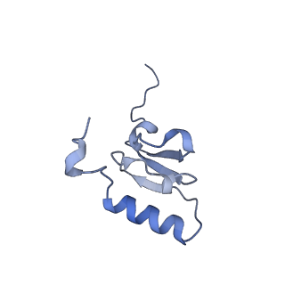23666_7m4u_s_v1-2
A. baumannii Ribosome-Eravacycline complex: 30S