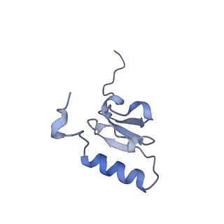 23666_7m4u_s_v1-3
A. baumannii Ribosome-Eravacycline complex: 30S