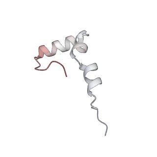 23667_7m4v_1_v1-2
A. baumannii Ribosome-Eravacycline complex: 50S