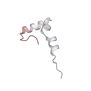 23667_7m4v_1_v1-3
A. baumannii Ribosome-Eravacycline complex: 50S