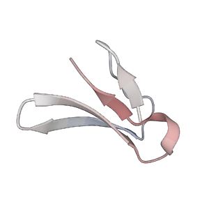 23667_7m4v_3_v1-3
A. baumannii Ribosome-Eravacycline complex: 50S