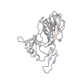 23667_7m4v_C_v1-2
A. baumannii Ribosome-Eravacycline complex: 50S