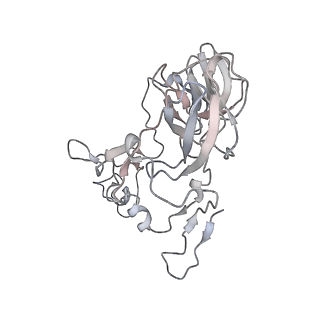 23667_7m4v_C_v1-3
A. baumannii Ribosome-Eravacycline complex: 50S