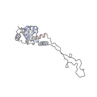 23667_7m4v_E_v1-2
A. baumannii Ribosome-Eravacycline complex: 50S