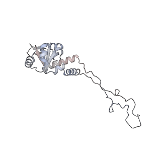 23667_7m4v_E_v1-3
A. baumannii Ribosome-Eravacycline complex: 50S