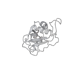 23667_7m4v_F_v1-2
A. baumannii Ribosome-Eravacycline complex: 50S