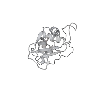 23667_7m4v_F_v1-3
A. baumannii Ribosome-Eravacycline complex: 50S