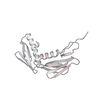 23667_7m4v_G_v1-2
A. baumannii Ribosome-Eravacycline complex: 50S