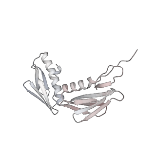 23667_7m4v_G_v1-3
A. baumannii Ribosome-Eravacycline complex: 50S