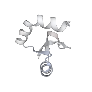 23667_7m4v_H_v1-2
A. baumannii Ribosome-Eravacycline complex: 50S