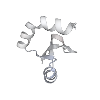 23667_7m4v_H_v1-3
A. baumannii Ribosome-Eravacycline complex: 50S