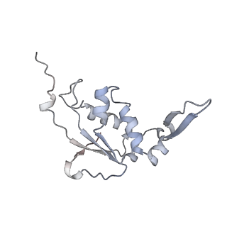 23667_7m4v_I_v1-2
A. baumannii Ribosome-Eravacycline complex: 50S
