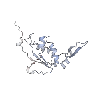 23667_7m4v_I_v1-3
A. baumannii Ribosome-Eravacycline complex: 50S