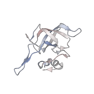 23667_7m4v_J_v1-2
A. baumannii Ribosome-Eravacycline complex: 50S