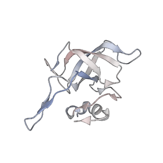 23667_7m4v_J_v1-3
A. baumannii Ribosome-Eravacycline complex: 50S