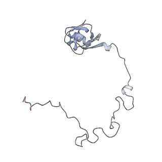 23667_7m4v_K_v1-2
A. baumannii Ribosome-Eravacycline complex: 50S