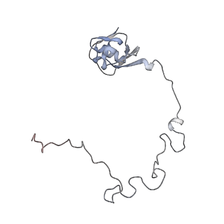 23667_7m4v_K_v1-3
A. baumannii Ribosome-Eravacycline complex: 50S