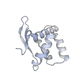 23667_7m4v_M_v1-2
A. baumannii Ribosome-Eravacycline complex: 50S