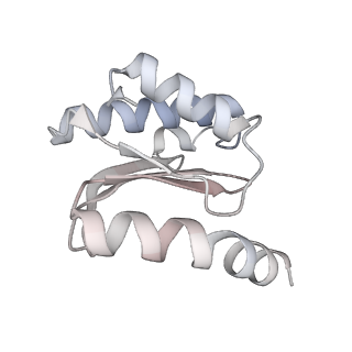 23667_7m4v_N_v1-2
A. baumannii Ribosome-Eravacycline complex: 50S