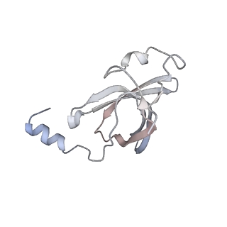 23667_7m4v_O_v1-2
A. baumannii Ribosome-Eravacycline complex: 50S